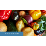 técnico em nutricionista Cidade Nova Bonssucesso